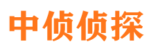 盐津侦探公司